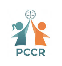 مدير الدائرة المالية